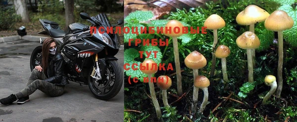 меф Новокубанск